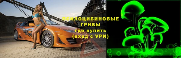 прущие грибы Алексин