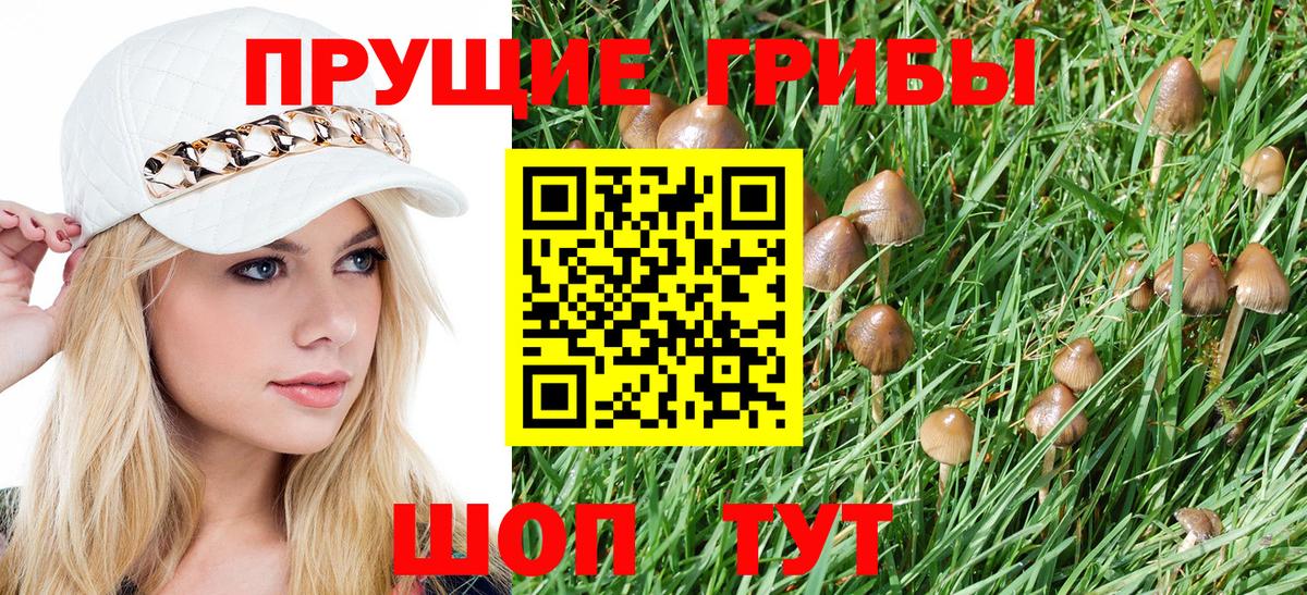 Псилоцибиновые грибы MAGIC MUSHROOMS  Вход с VPN  Ишим  Псилоцибиновые грибы GOLDEN TEACHER 